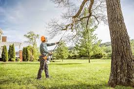 Seasonal Cleanup (Spring/Fall) in Atmore, AL