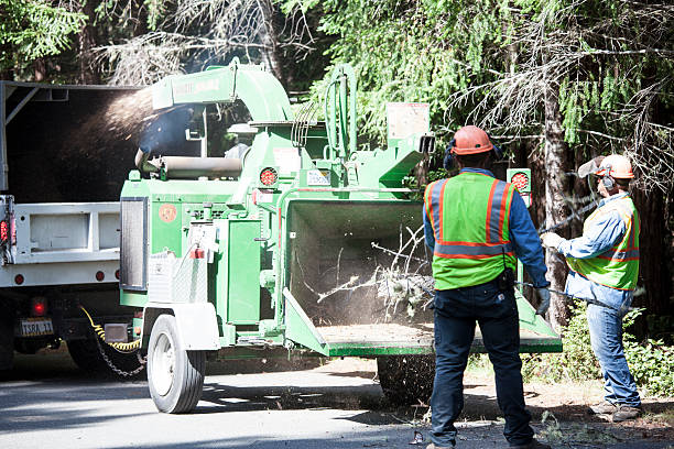 Best Tree Risk Assessment  in Atmore, AL